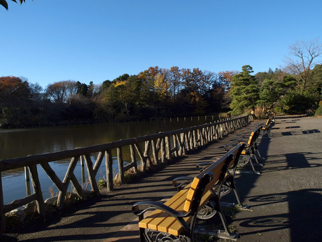 善福寺公園