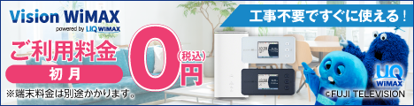 VisionWiMAX